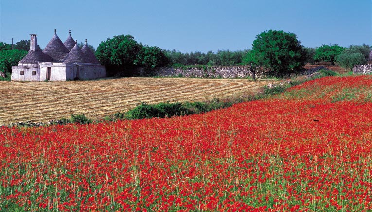 Bpli-puglia-biking-2